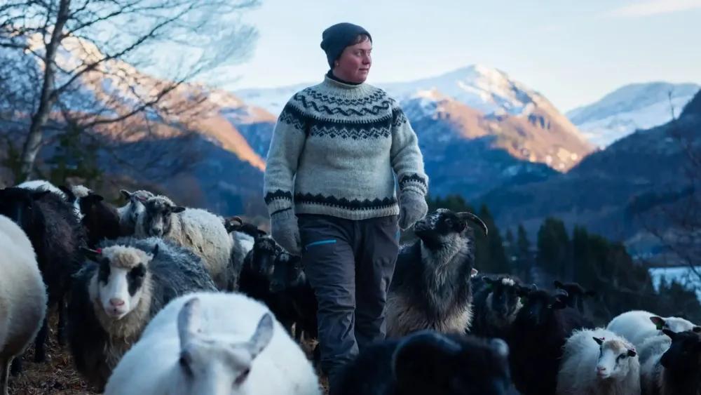 WOOLLY – SCHAF DIR DAS GLÜCK